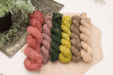 🖤 KITS DE 6 MINIS (total : 150g)